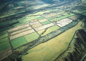 空から見た田園風景。田や畑が長方形に規則正しく並んでいるのが分かります。手前には崖があります。